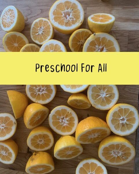 preschool-for-all-mud-pies-preschool